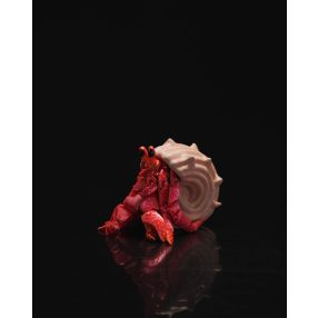 Remeterák kagylóval