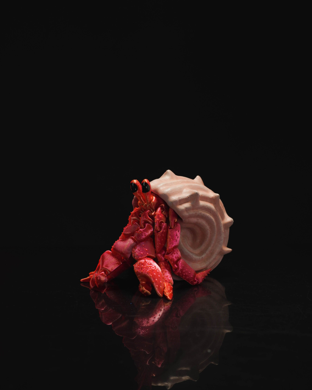 Remeterák kagylóval - Creaprint