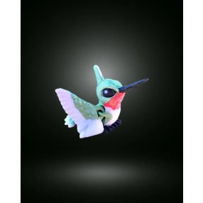 Baby kolibri