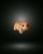 Capybara baby