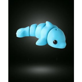 Delfin baby