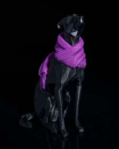 Vizsla