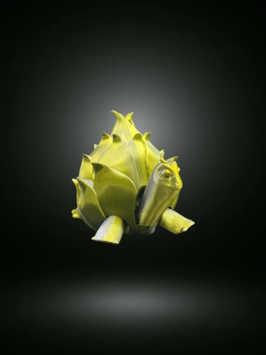 Teknős sárkánygyümölcs páncélban