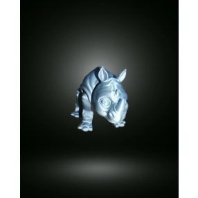 Rinocérosz 