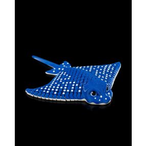 Plecsni - manta rája