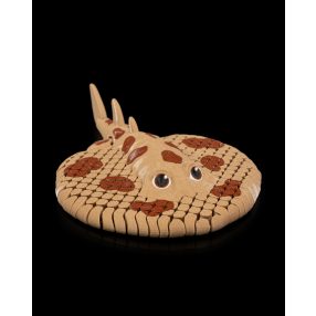 Vili - elektromos rája