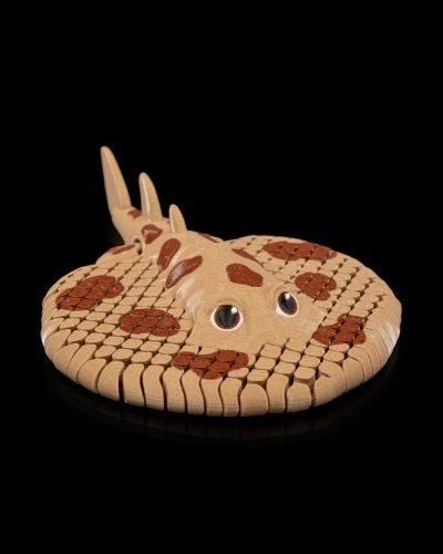 Vili - elektromos rája